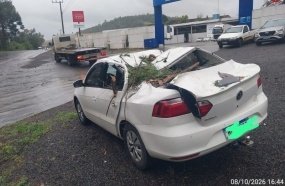 Carro é atingido por árvores que caíram durante temporal na região