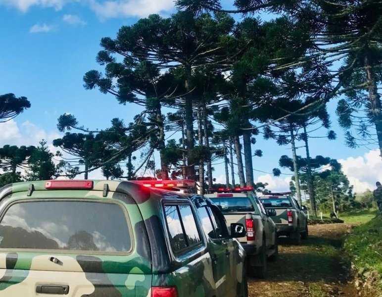 PM Ambiental apreende carne de caça e armas em operação na região