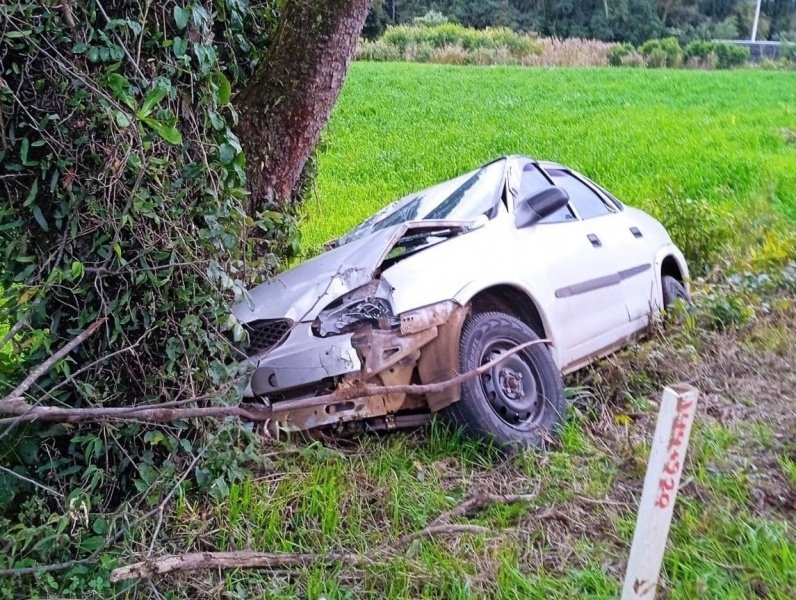 Três pessoas ficam feridos após carro colidir contra árvore na SC-355 