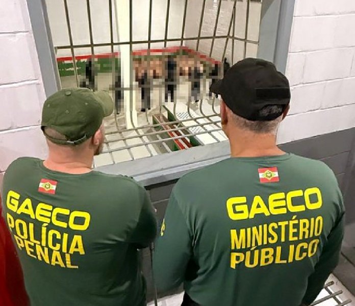 Operação desarticula estrutura de facção criminosa em municípios catarinenses