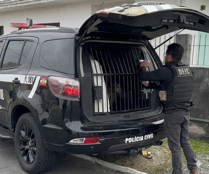 Operação mira grupo criminoso por fraude de R$ 8 milhões contra empresa de SC