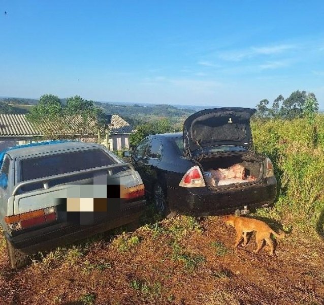 Funcionário é preso após ser flagrado desviando 160 kg de alcatra da empresa