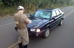 Idoso morre atropelado ao atravessar rodovia com animais