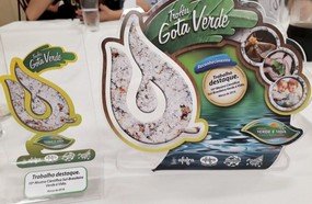 Escola Rotary conquista prêmio destaque na Mostra Científica