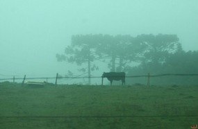 Junho começa com temperatura abaixo de zero no Planalto Sul