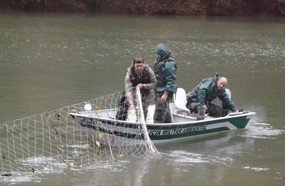 Período de pesca proibida começa nesta quinta-feira