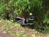 Casal fica ferido em capotamento na BR-282, em Catanduvas