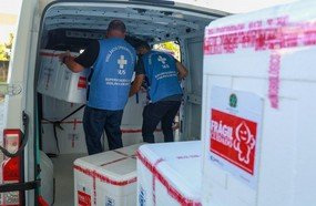 SC inicia distribuição de nova remessa da vacina Coranavac