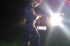 Homem fica preso em pinheiro ao tentar colher pinhão