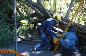 Ciclone em SC: 135 municípios catarinenses registram danos
