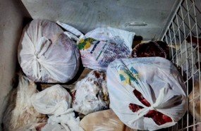 Polícia cumpre mandados para apurar furto de gado na região