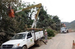 Celesc estima gasto de R$ 12 milhões com podas e roçadas