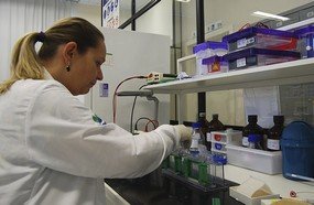 Estudo da Unoesc pode detectar novo diagnóstico para fibromialgia