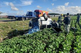 Motorista morre ao capotar veículo carregado com cigarros