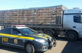 Caminhoneiro é flagrado dirigindo há mais de 20 horas sem descanso