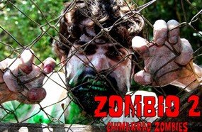 Filme trash será exibido nesta sexta-feira em Joaçaba