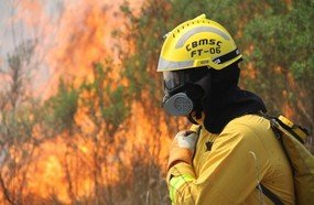 Maio registra o maior número de incêndios em vegetação