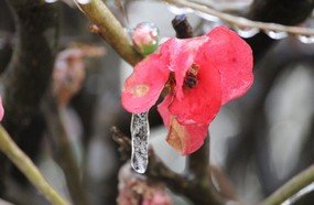 Domingo abaixo de zero na Serra Catarinense