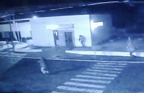 Caixeiros explodem agência do Santander em Campina da Alegria