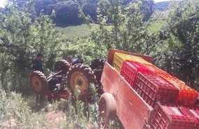 Trabalhador morre após capotar trator no interior de Videira