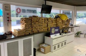 Adolescente é apreendido com mais de meia tonelada de maconha