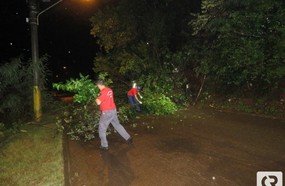 Queda de barreira interrompeu passagem na Rodovia do Ovo