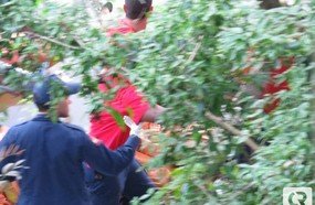 Homem desaparecido é localizado no interior de Joaçaba