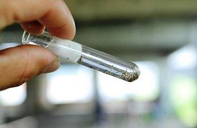 Larvas do mosquito da dengue são encontradas em Herval d´Oeste