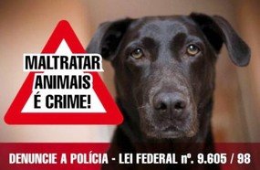 Homem é condenado a 3 meses de detenção por maus-tratos a animal