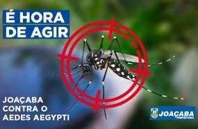 Larvas do Aedes aegypti são encontradas no bairro Clara Adélia