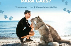 Presença de cães em praias é tema de debate entre veterinários