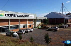 Ladrões levam motosserras e cofre de loja agropecuária em Zortéa