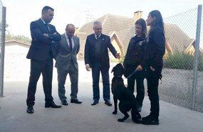 Polícia Civil de Campos Novos ganha canil para auxiliar operações