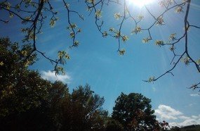 Feriado e fim de semana com tempo firme em SC
