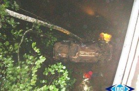 Veículo fica preso em árvores após despencar de ponte
