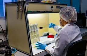 Pesquisa em SC avalia mutações do novo coronavírus