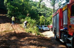 Homem morre ao ser atingido por árvore em cascalheira