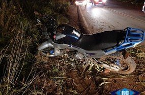 Capivaras na pista causam dois acidentes em Capinzal