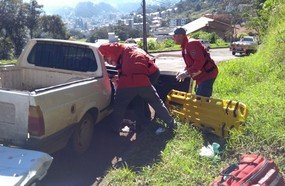 Trabalhador morre ao ser atingido por árvore