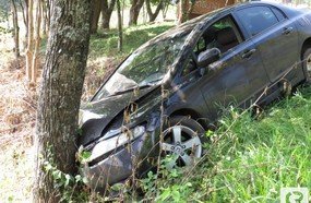 Motorista perde controle e bate em árvore na BR-282