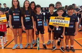 Atletas de Joaçaba são destaque no estadual de Badminton