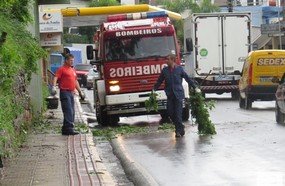 Bombeiros retiram galhos que caíram na pista com o vento
