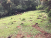 Agricultor morre após capotar trator em Monte Carlo