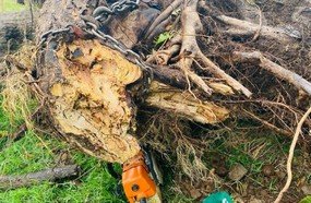 Trabalhador morre após ser atingido por árvore em Xavantina