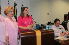 Rede Feminina fala sobre Outubro Rosa na Câmara