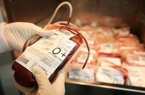 Baixa procura de doadores reduz estoques de sangue no Hemosc