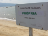 Relatório mostra pontos impróprios para banho nas praias de SC