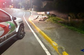 Motociclista sofre queda ao tentar fugir de abordagem policial