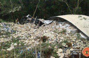 Motorista fica ferido após despencar carreta em ribanceira