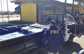 Motorista é flagrado pela terceira vez contrabandeando camarões